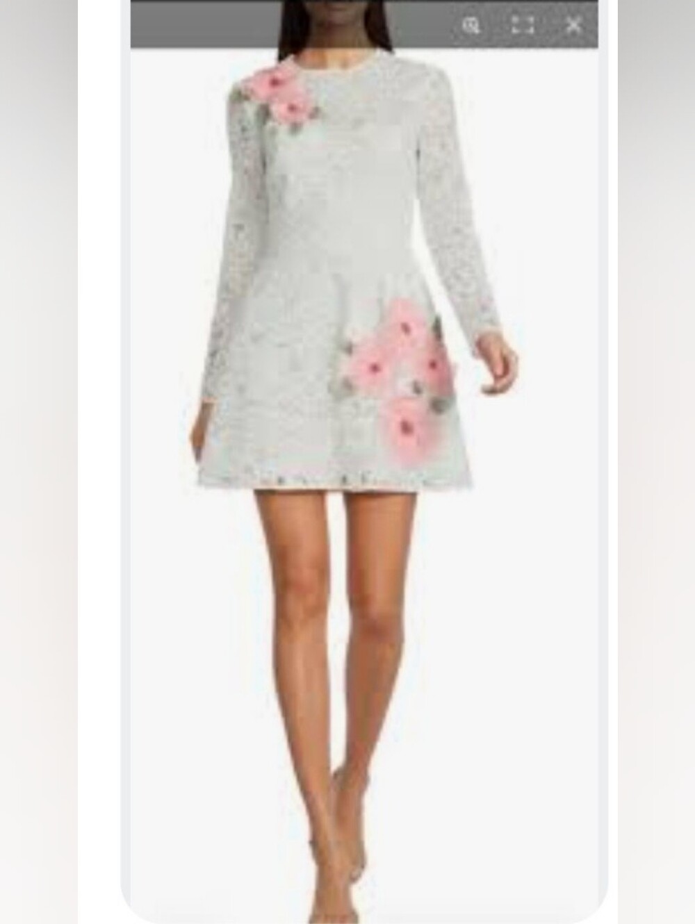 Muse by Marchesa ShayLong Sleeves Lace Dress
